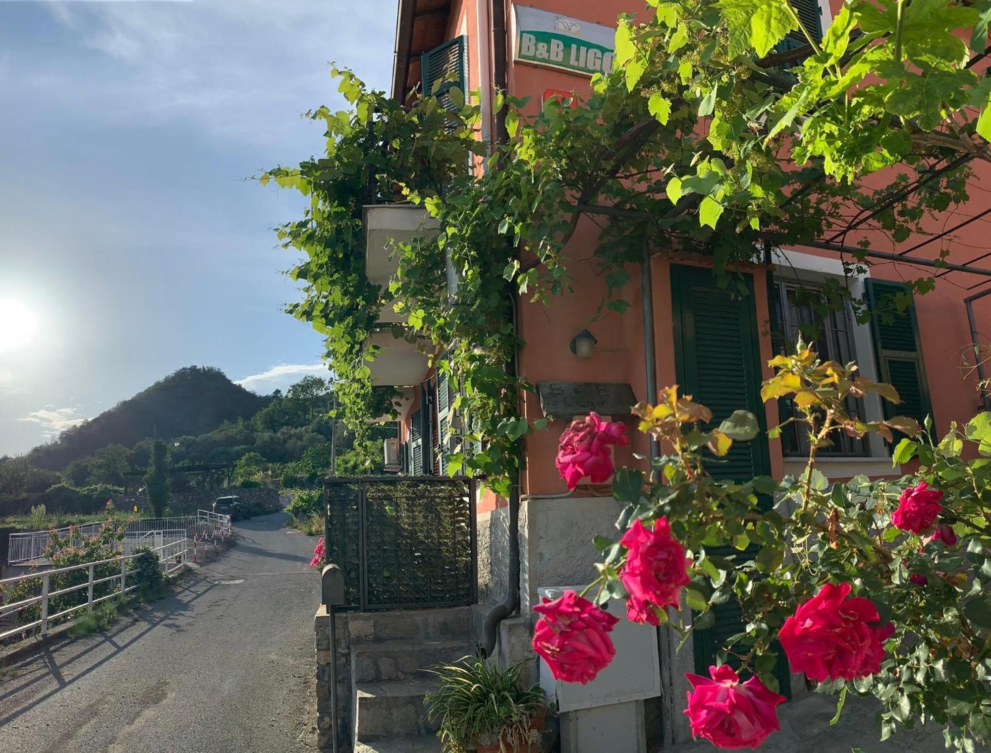 Ligo Bed & Breakfast วิลลาโนวา ดัลเบงกา ภายนอก รูปภาพ