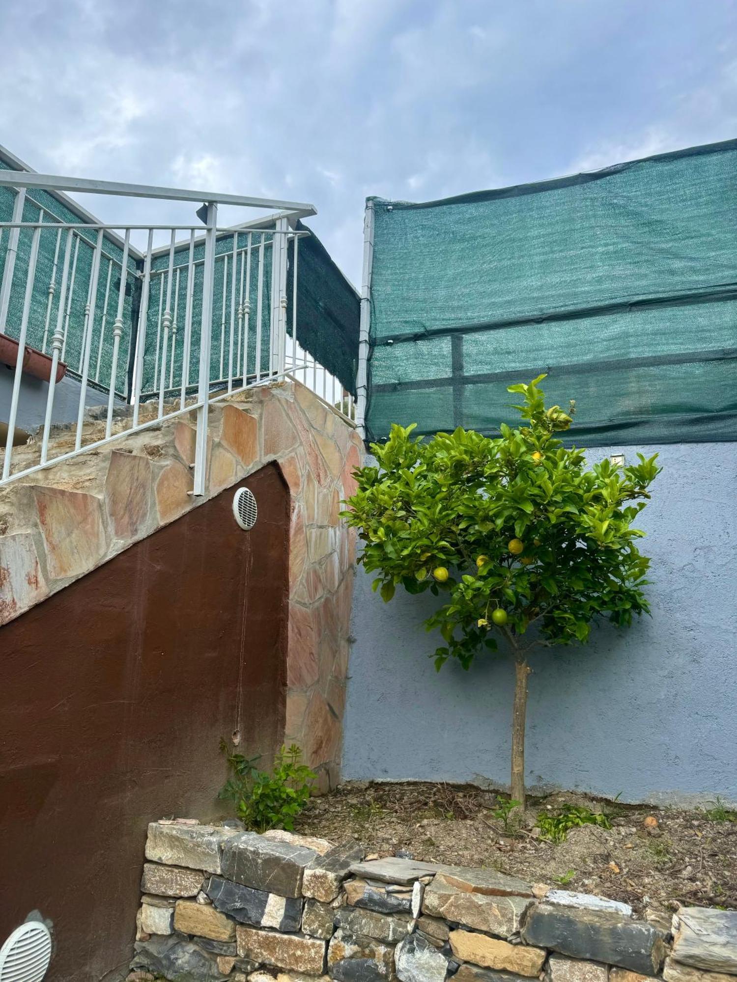 Ligo Bed & Breakfast วิลลาโนวา ดัลเบงกา ภายนอก รูปภาพ